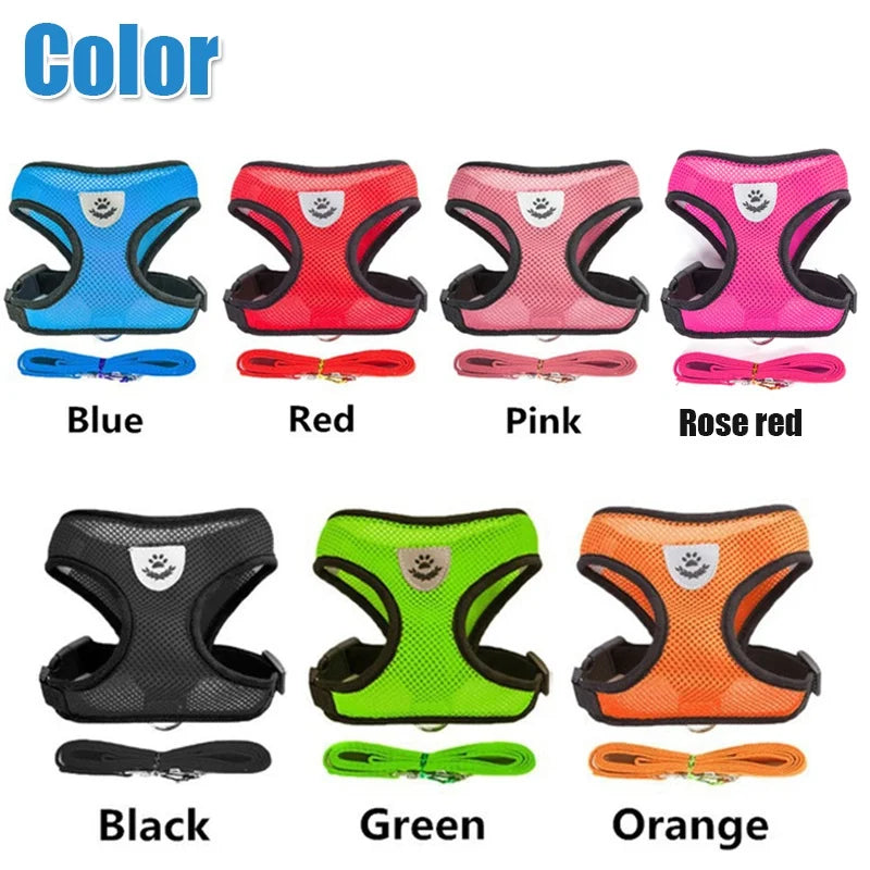 Collection of dog harnesses in various colors with corresponding labels on a white background.