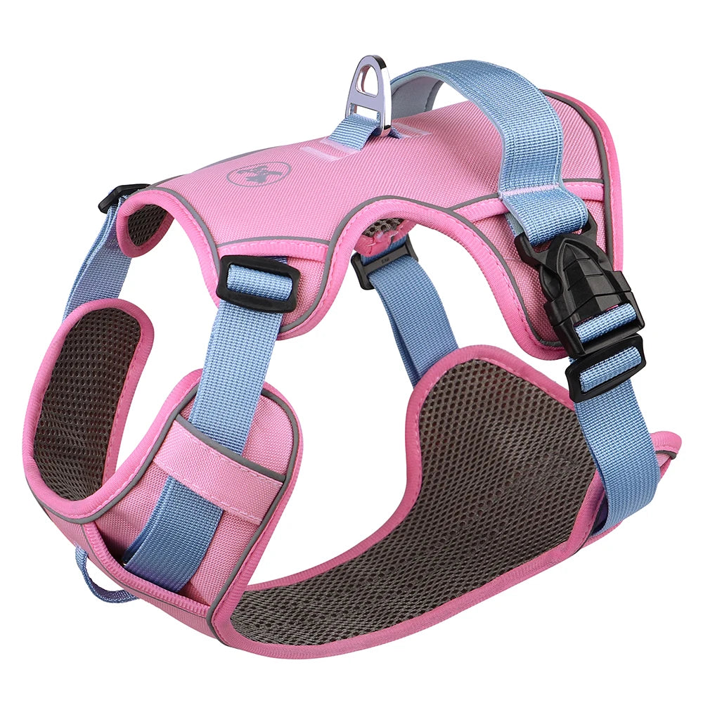 Pink and blue dog harness on a white background