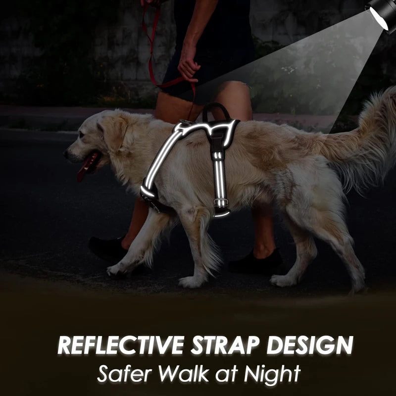 Dog walking on a leash with a reflective strap design, suitable for safer nighttime walks.