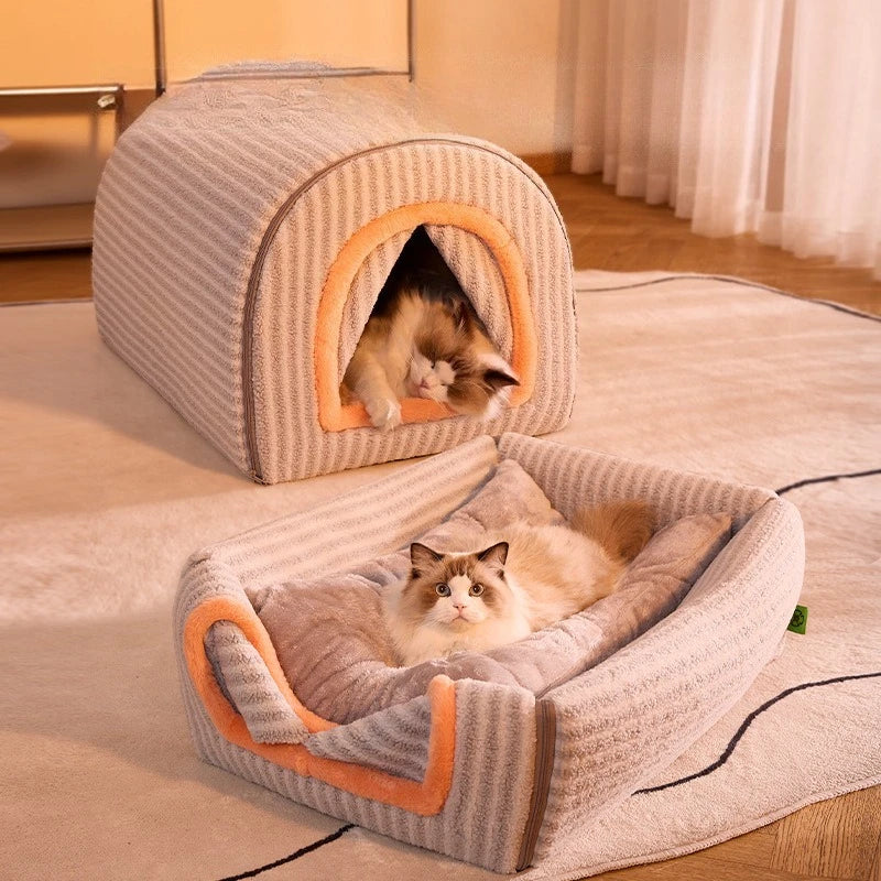 Two cats in a striped pet house on a carpeted floor.