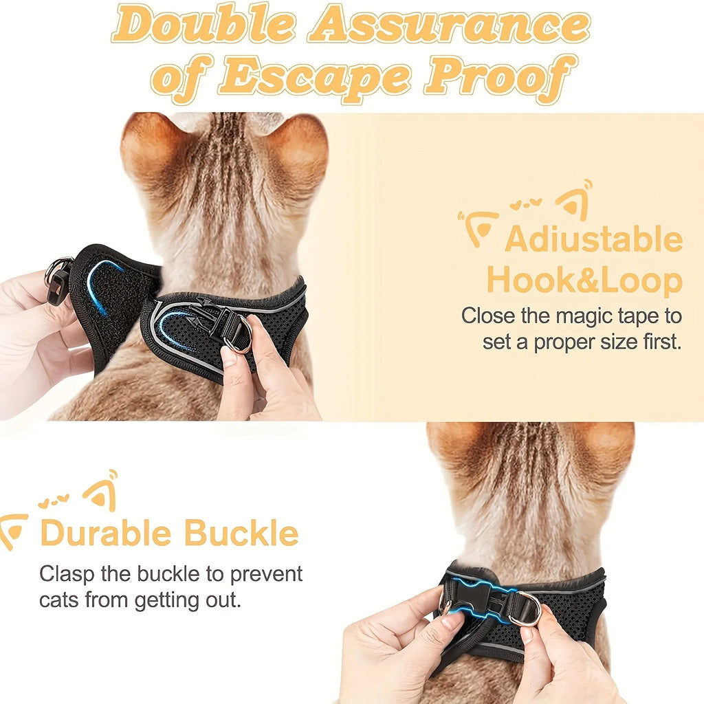 Cat harness with adjustable hook and loop closure and durable buckle on a white background.