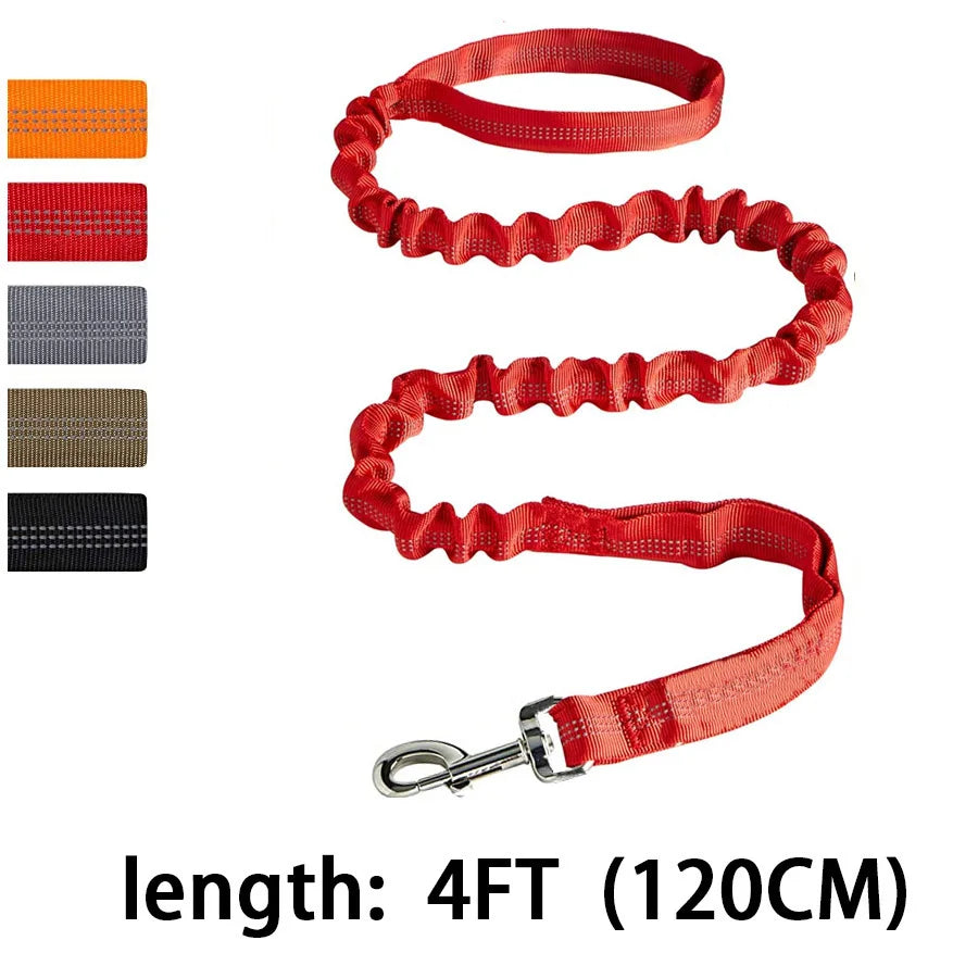 Red dog leash with a metal clip on a white background, showing different color options.