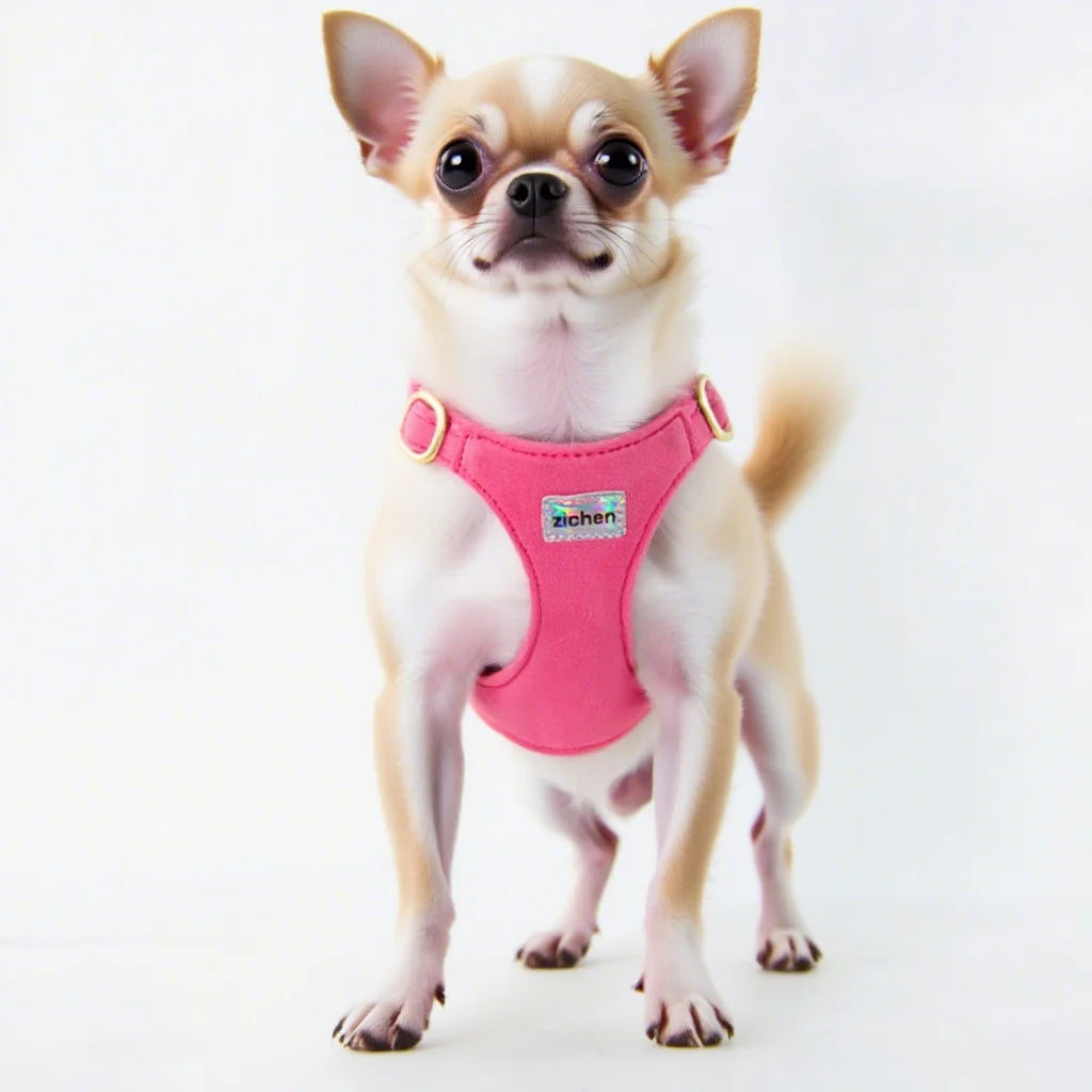 Adjustable Puppy Harness & Leash Set