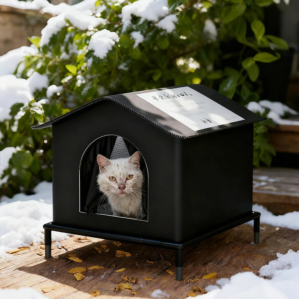 Black cat house with a cat peeking out, surrounded by snow and greenery