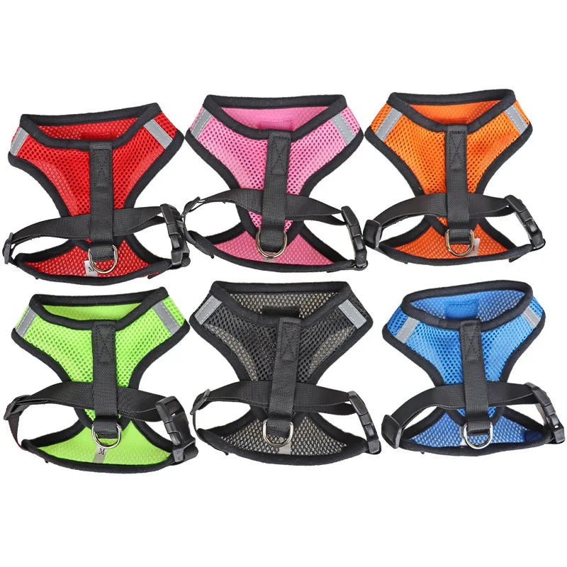 Set of six colorful dog harnesses on a white background