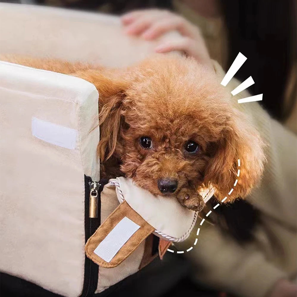 Small brown dog peeking out of a beige pet carrier held by a person.