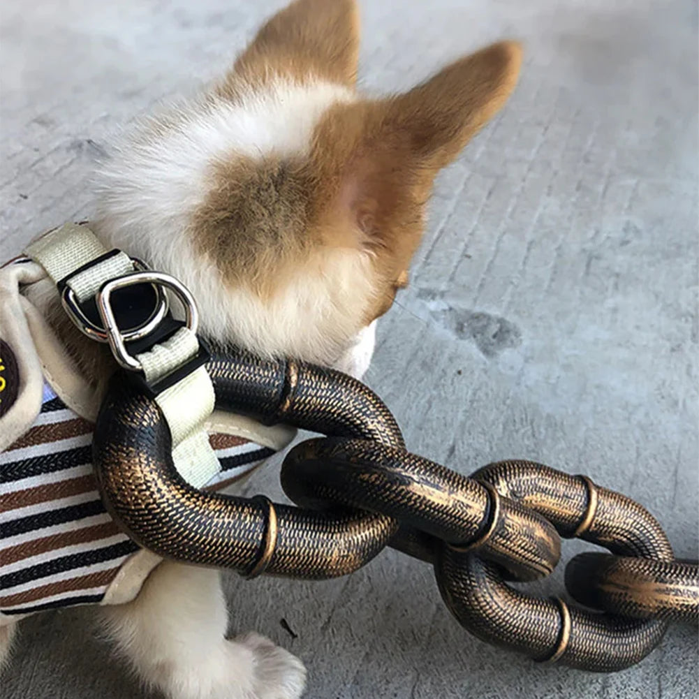 Small dog with a large chain around its neck on a concrete surface